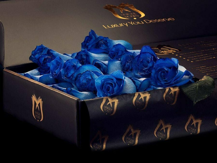 Blue Roses in Signature Boxes
