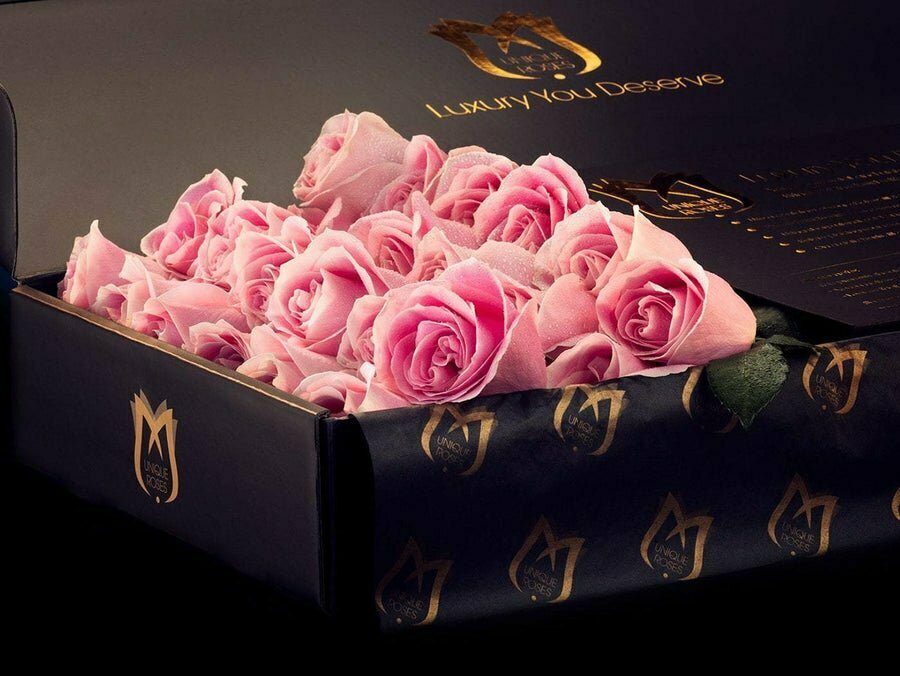 Cherry Blossom pink Roses