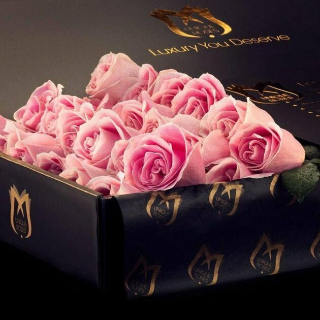 Cherry Blossom pink Roses