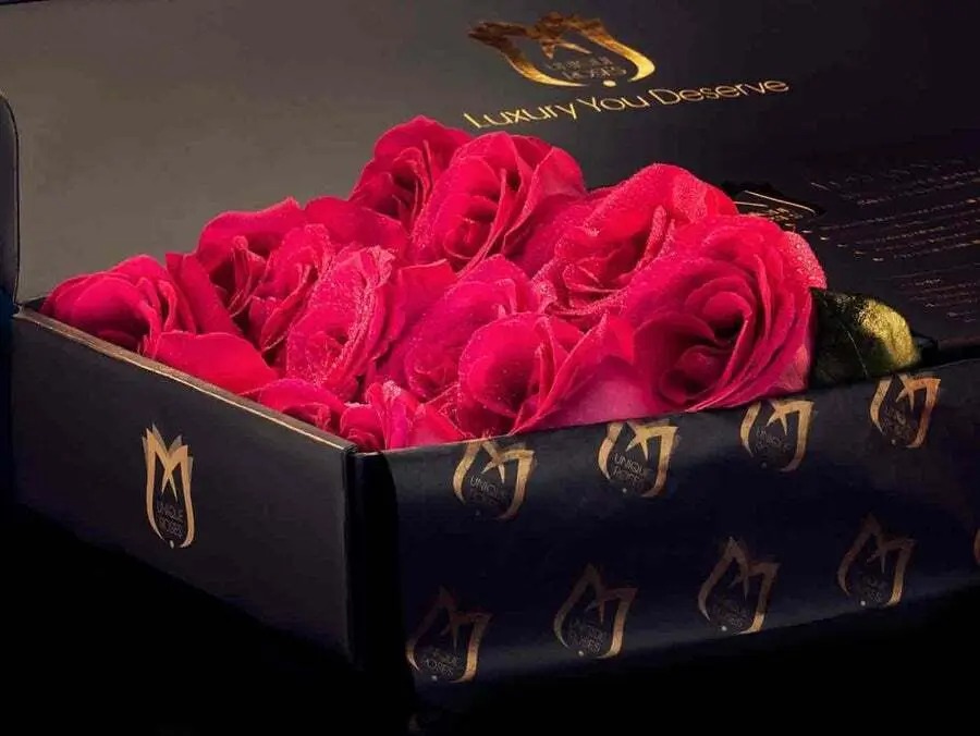Dark PinkFrench Roses