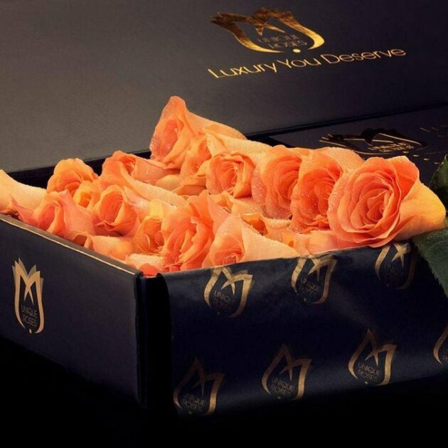 Orange Roses